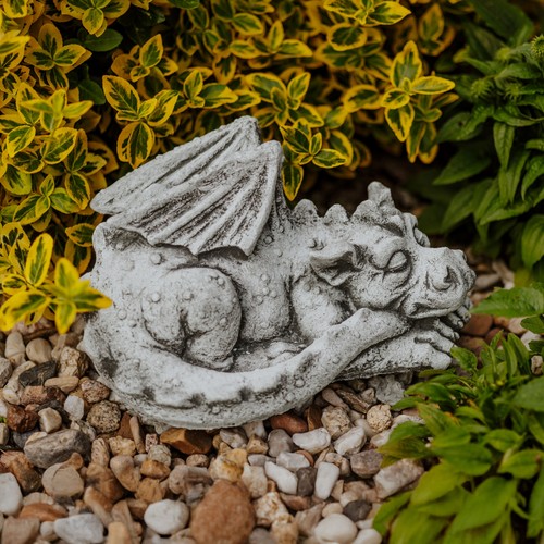 Drache dinosaurier dino - drache,