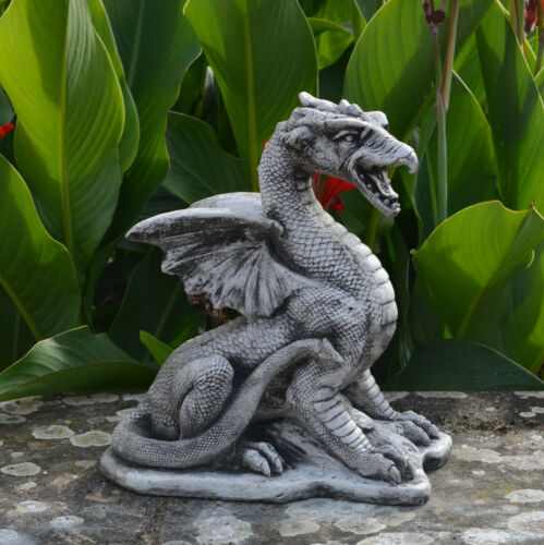 Drachen dinosaurier dino - drachen,