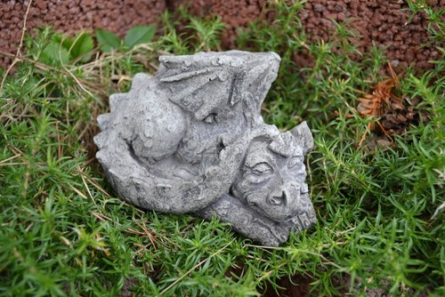 Kleiner drachen babydrachen - kleiner,