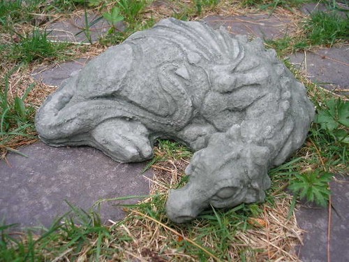 Ruhender drache ayra - ruhender,
